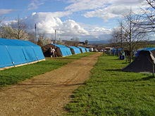 Reihen blauer Zelte auf grüner Wiese mit braunem Sand-Gehweg