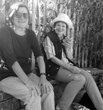 Barbara und Angelika (EmK Frankfurt) auf dem Mäuerchen bei der Teeausgabe