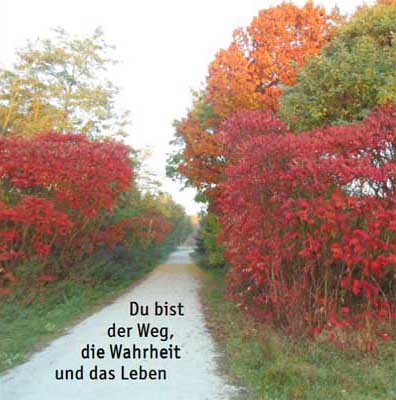 Heller gerader Kiesweg umsäumt von Bäumen mit farbenprächtigem Herbstlaub; auf dem Weg die Schrift: 